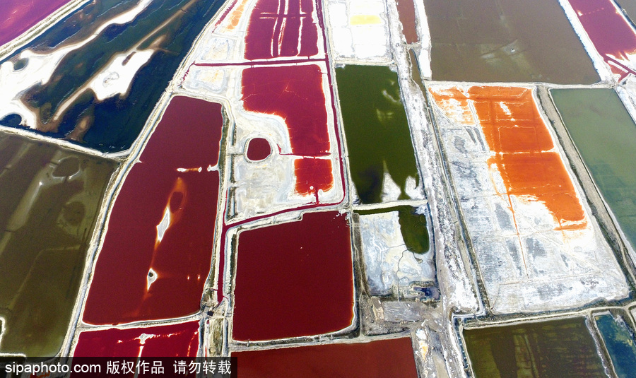 山西運城：持續高溫來襲 千年鹽池變身美麗七彩湖