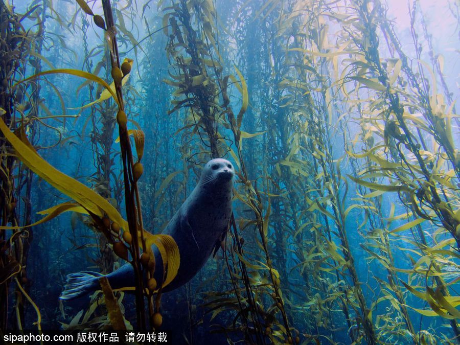 天氣太熱為眼睛“降溫” 冷色調大片帶你領略世界美景