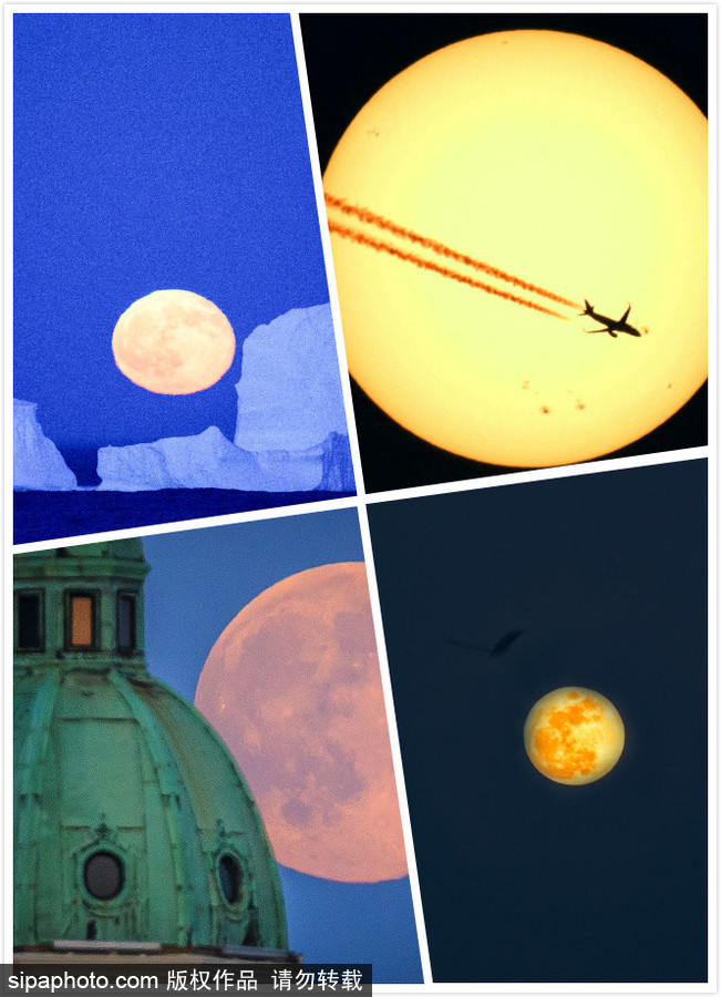 人類月球日 盤點地球視角下的明月當空