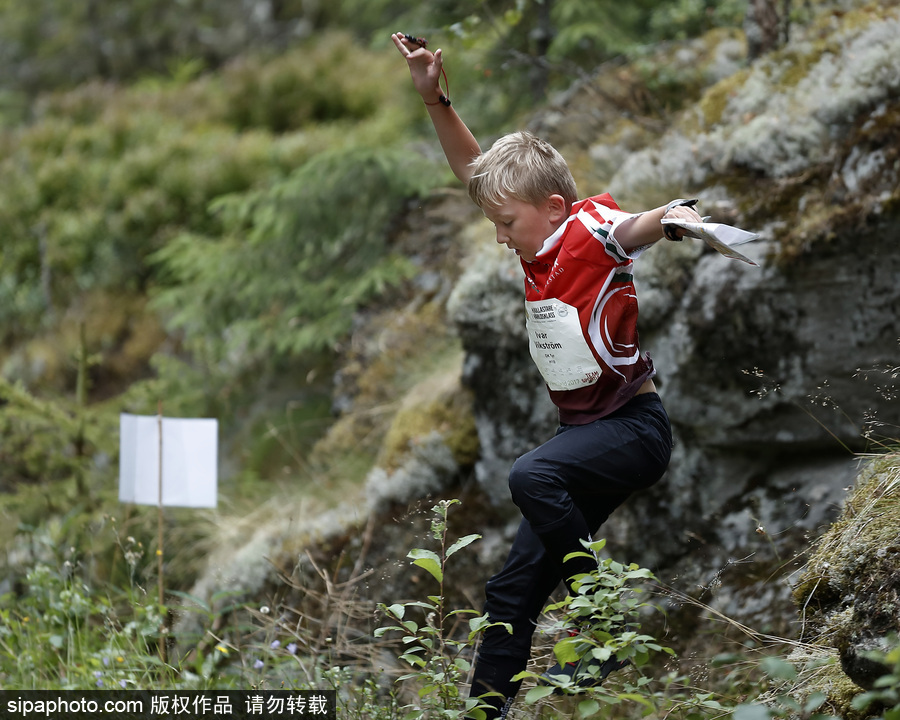 瑞典五日定向越野賽精彩開幕 男女老少齊上陣挑戰耐力極限
