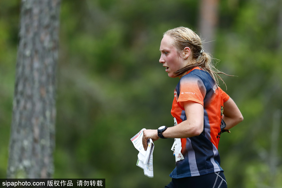 瑞典五日定向越野賽精彩開幕 男女老少齊上陣挑戰(zhàn)耐力極限