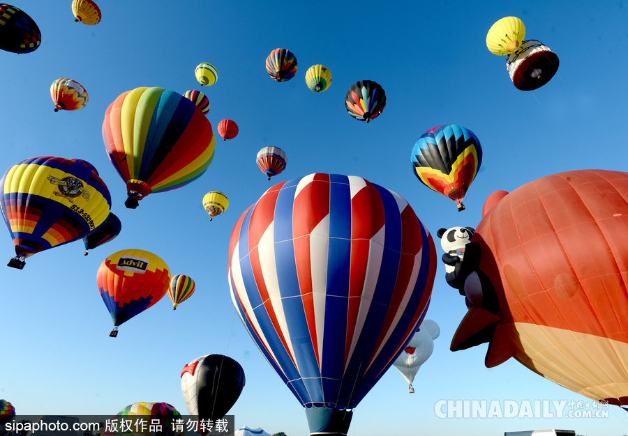 美新澤西州熱氣球節開幕 五彩繽紛扮靚天空