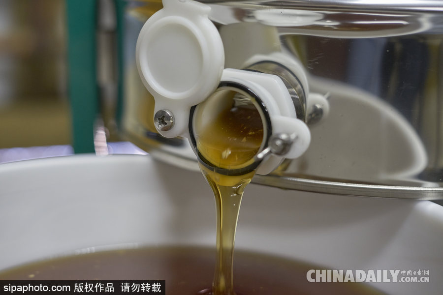 探訪美國(guó)弗農(nóng)養(yǎng)蜂場(chǎng) 滴滴香甜原生態(tài)