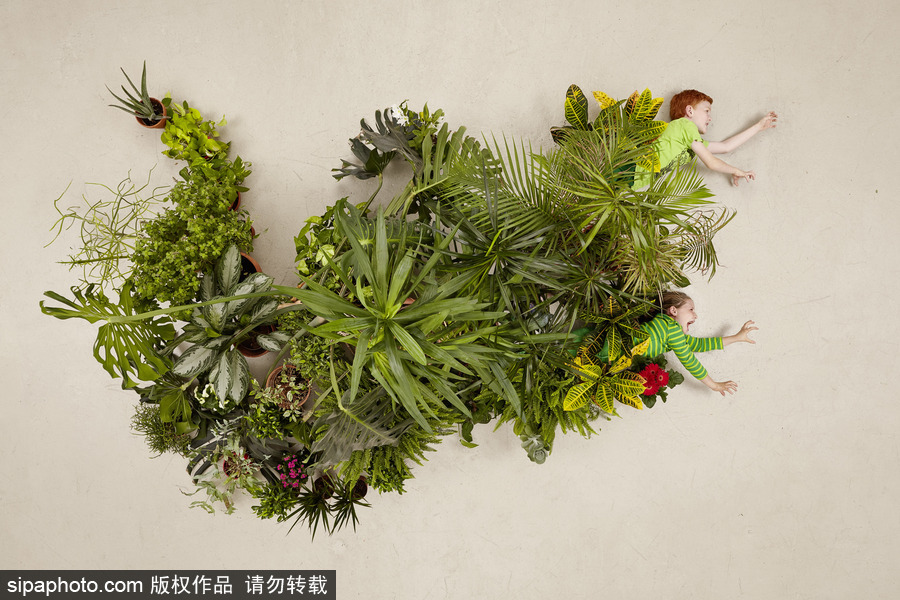 想象力飛出天際 衛生紙拖鞋玩具打造的”怪獸英雄“世界