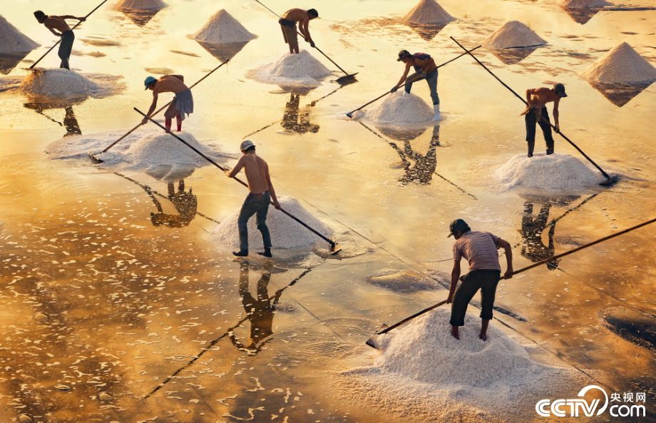 越南百里“銀灘”烈日下曬鹽畫(huà)面唯美