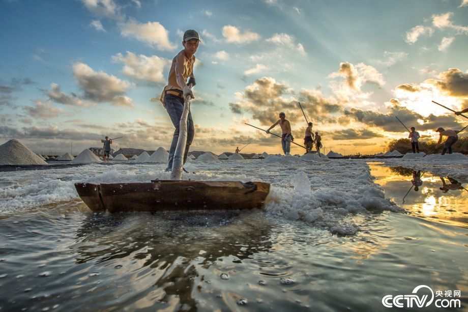 越南百里“銀灘”烈日下曬鹽畫面唯美