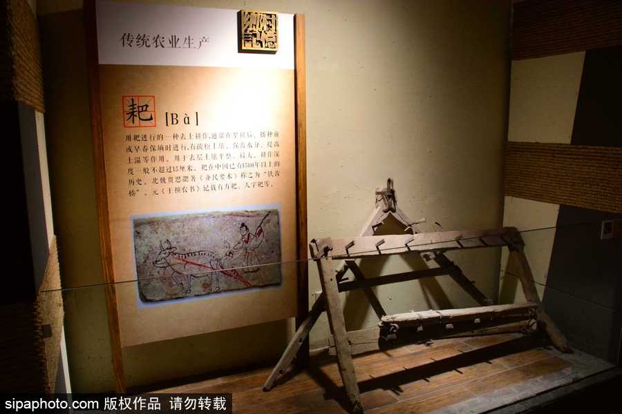 探訪鄉村記憶博物館 老物件喚起童年記憶滿滿感動