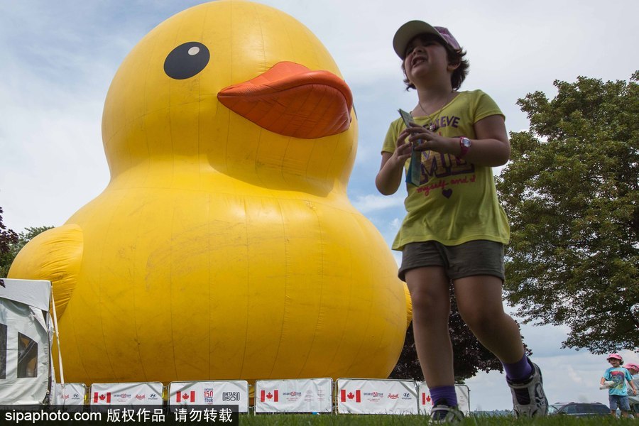 世界最大充氣大黃鴨加拿大碉堡島展出 游客爭(zhēng)相拍照留念