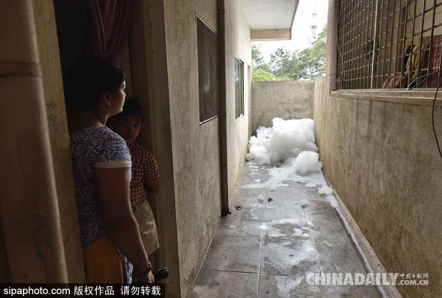 印度貝蘭杜爾湖污染嚴重 產(chǎn)生大量泡沫充斥街頭