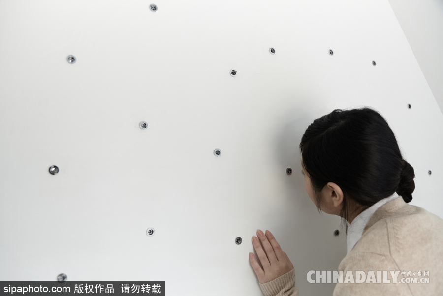 令人驚嘆！日本建筑公司筑起共享樹屋 人類可與鳥兒在屋內同住