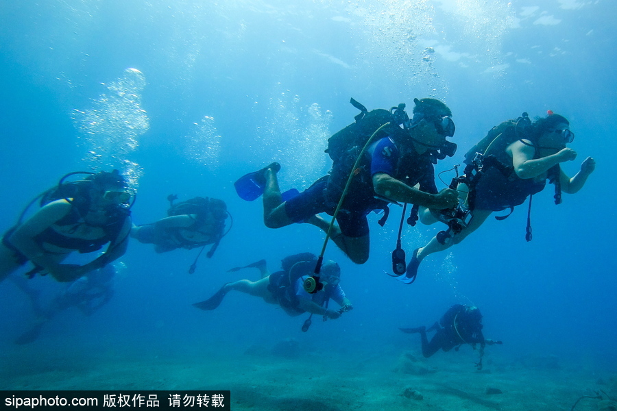 感受地中海水下“神秘世界” 土耳其凱梅爾海邊潛水