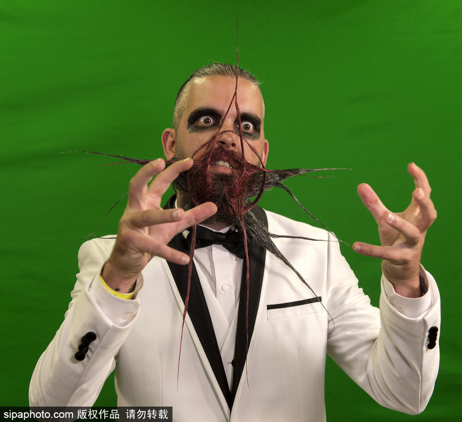 2017年世界留胡子錦標(biāo)賽：哪款Freestyle你最愛？