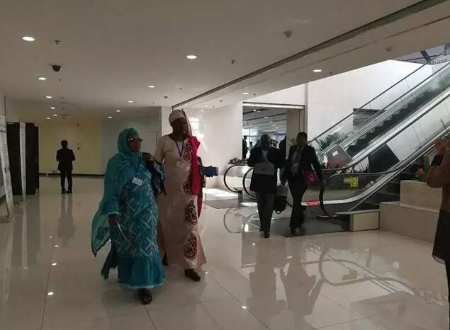 都給您整理好了!關(guān)于《聯(lián)合國防治荒漠化公約》第13次締約方大會開幕式,這個最全!