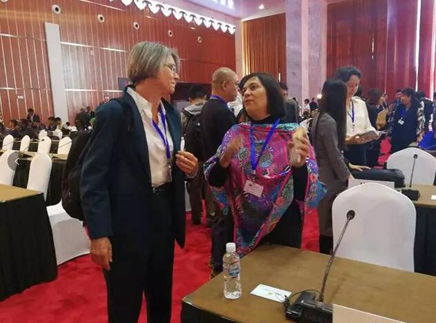 都給您整理好了!關(guān)于《聯(lián)合國防治荒漠化公約》第13次締約方大會開幕式,這個最全!