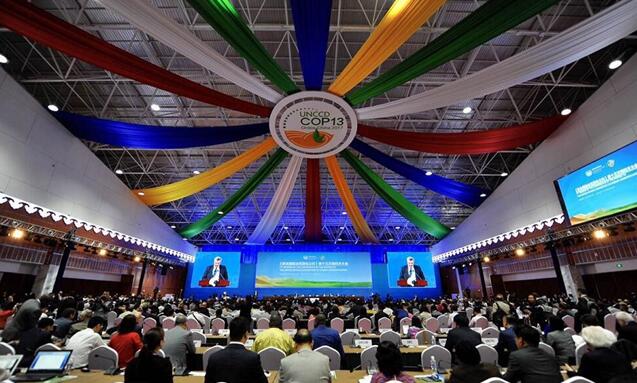 都給您整理好了!關(guān)于《聯(lián)合國防治荒漠化公約》第13次締約方大會開幕式,這個最全!