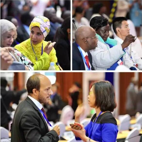 都給您整理好了!關(guān)于《聯(lián)合國防治荒漠化公約》第13次締約方大會開幕式,這個最全!