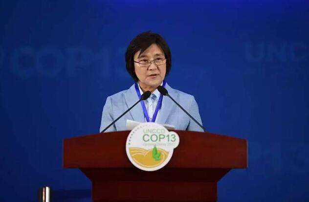 都給您整理好了!關(guān)于《聯(lián)合國防治荒漠化公約》第13次締約方大會開幕式,這個最全!