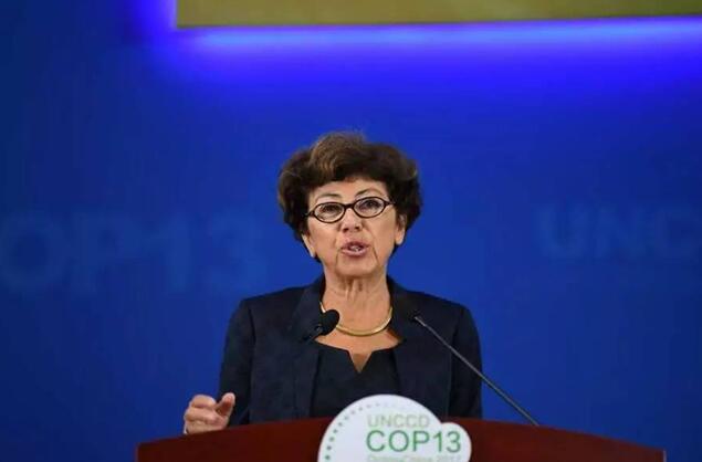 都給您整理好了!關(guān)于《聯(lián)合國防治荒漠化公約》第13次締約方大會開幕式,這個最全!