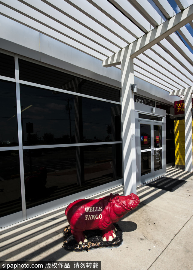 “河馬小鎮”美國胡托 街頭遍布河馬雕塑