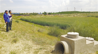 河洛圖小流域水土保持綜合治理區: 綠意滋潤 美富兼收