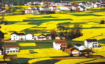 “砥礪奮進的五年”大型成就展展板圖片選登（第一展區）