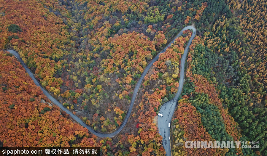 遼寧本溪最美公路 層林盡染令人神往