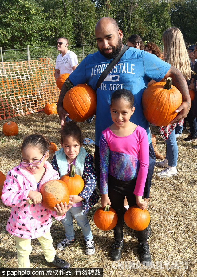 迎萬圣節南瓜熱銷 萌娃與南瓜興奮合影