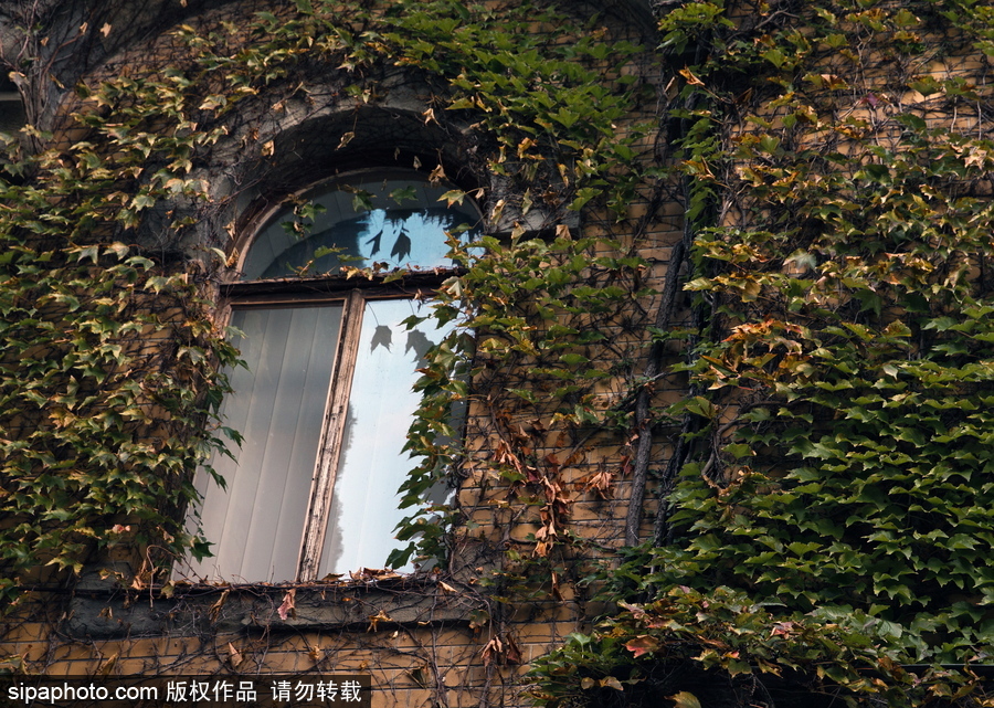 北方的秋天 俄羅斯克里米亞秋光無限