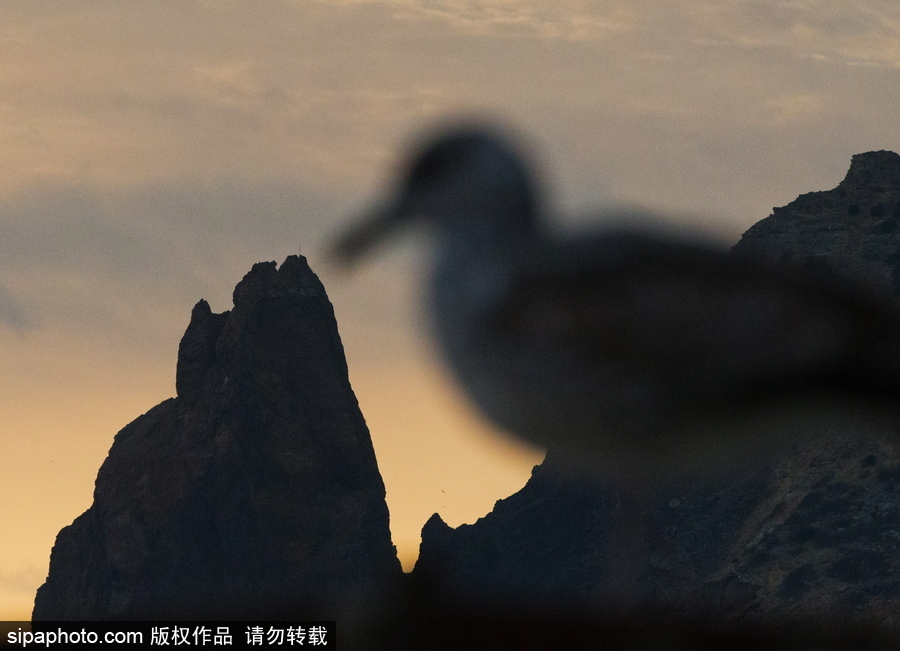 俄羅斯克里米亞黑海沿岸風光美景