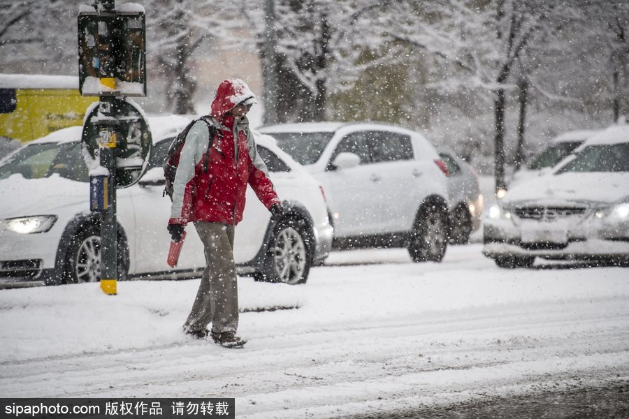 瑞典迎來今年第一場降雪 嚴重影響當地交通