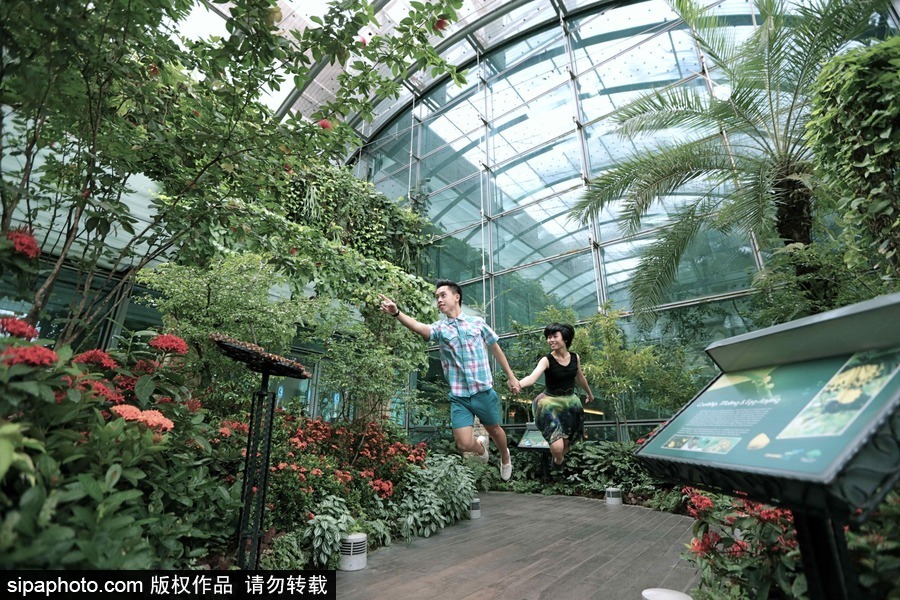 假如我們都有一雙隱形的翅膀 攝影師無(wú)PS“懸浮”照片