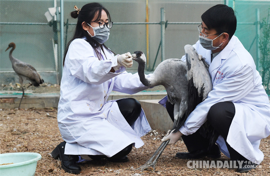 中國日報(bào)2018新年圖片特刊：迎接新時(shí)代