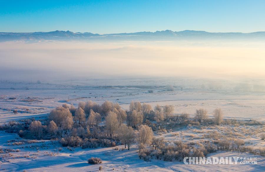 新疆沖乎爾：“雪樹銀花”童話鎮
