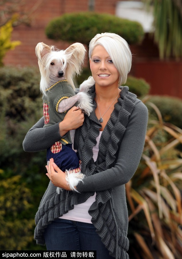 人不如狗系列！ 走進全世界最奢華的狗狗生活