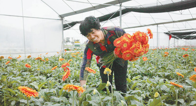“有她在，我們放心！”——記福建省永安市小陶鎮(zhèn)五一村黨支部書(shū)記許光園