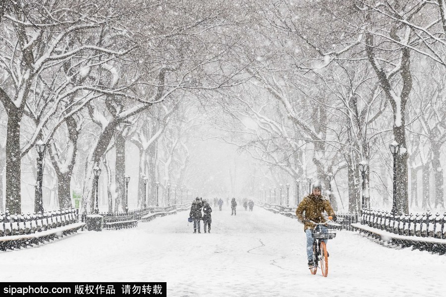 這波倒春寒來的迅猛！美國紐約遭遇暴雪天氣