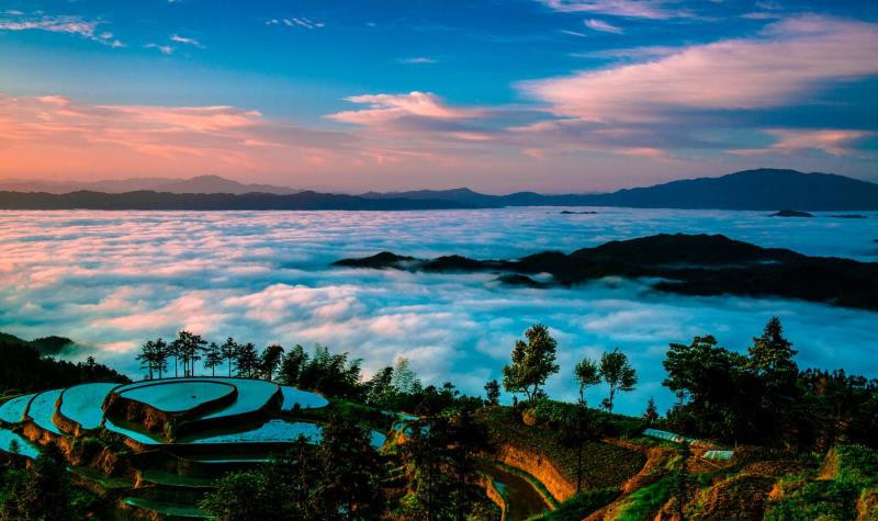 紫鵲界梯田獲“全球重要農業文化遺產”授牌