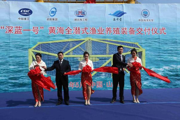 我國(guó)首座“深海漁場(chǎng)”建成交付 一個(gè)周期可養(yǎng)育三文魚(yú)30萬(wàn)條