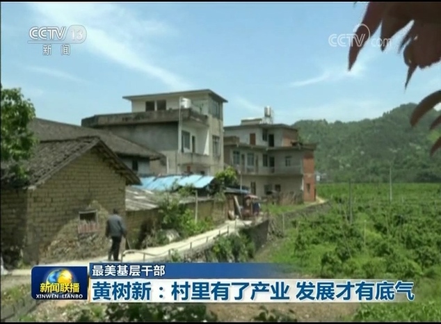 【最美基層干部】黃樹新:村里有了產業 發展才有底