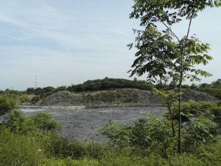 【美麗中國長江行】青山綠水還于民:探訪長壽區可持續綠色發展新道路