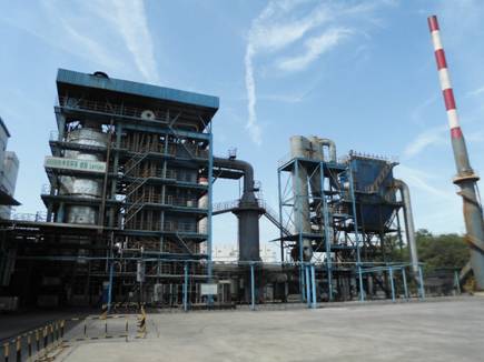 【美麗中國長江行】青山綠水還于民:探訪長壽區可持續綠色發展新道路