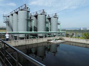 【美麗中國長江行】青山綠水還于民:探訪長壽區可持續綠色發展新道路