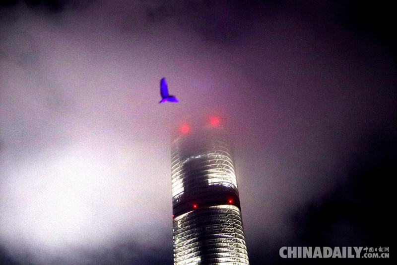 “百名攝影師聚焦上海”活動(dòng)在上海舉行