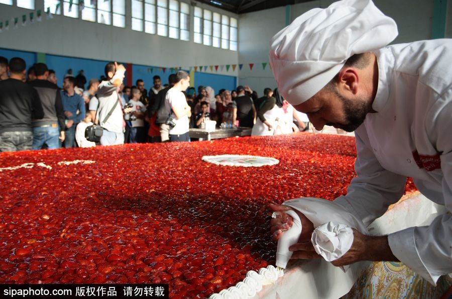 阿爾及利亞誕生世界最大草莓派 高達47.79米寬3米