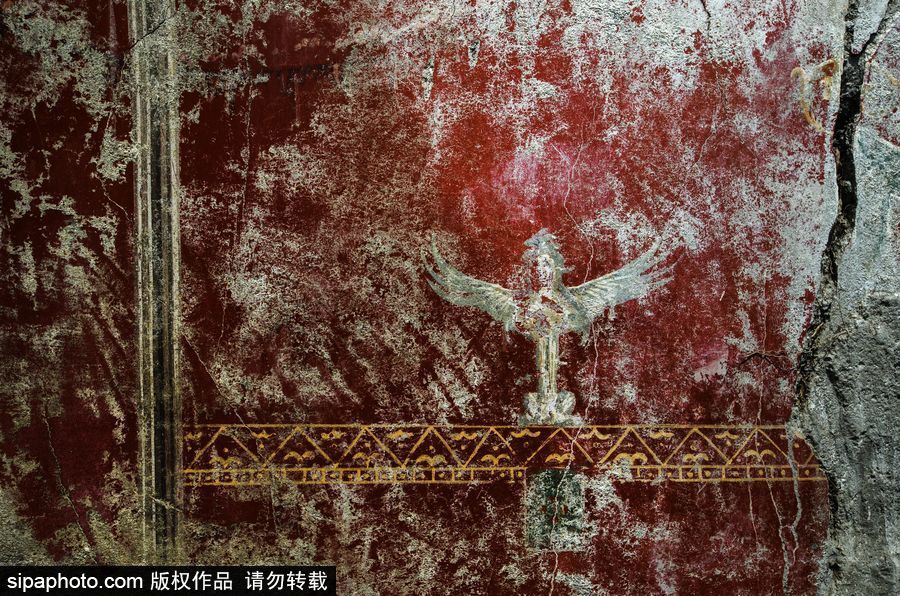 意大利考古隊發現龐貝古城建筑群“海豚之屋” 罕見保持完好