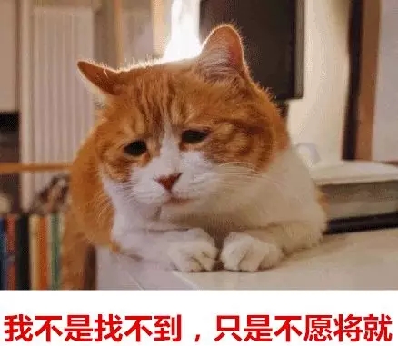 你單身的原因找到了！最新調查：七成人不愿將就，半數男生看臉