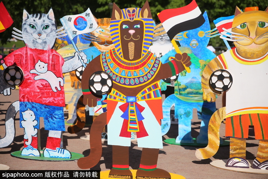 俄羅斯“預言貓”攜各國“貓咪”們現身 迎接2018世界杯到來