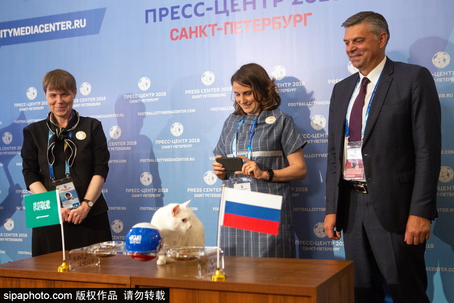 明星待遇！俄羅斯神貓預測2018世界杯揭幕戰勝者