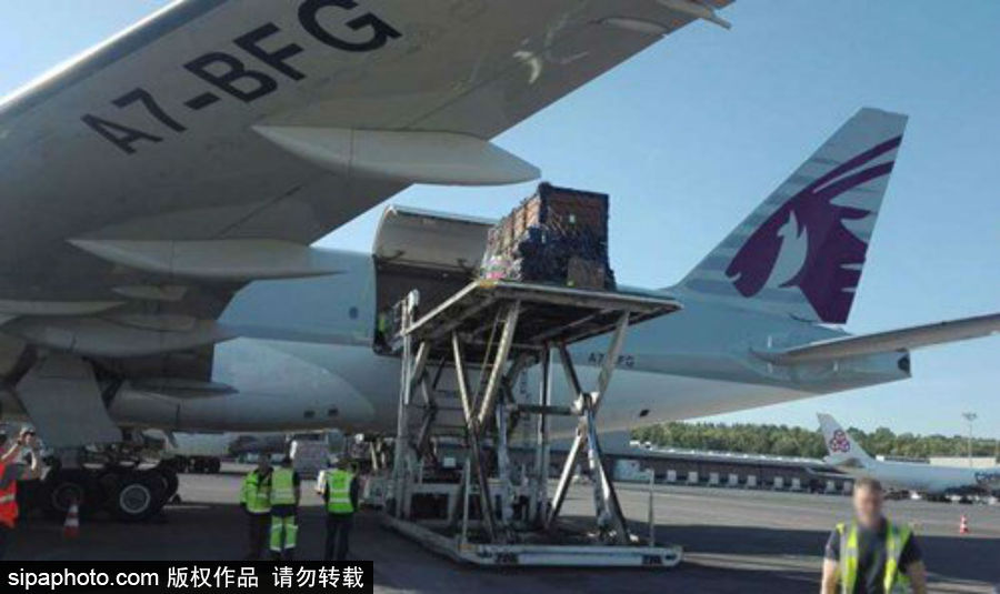 “網(wǎng)紅”犀牛千里尋“愛” 專人護送陣仗十足