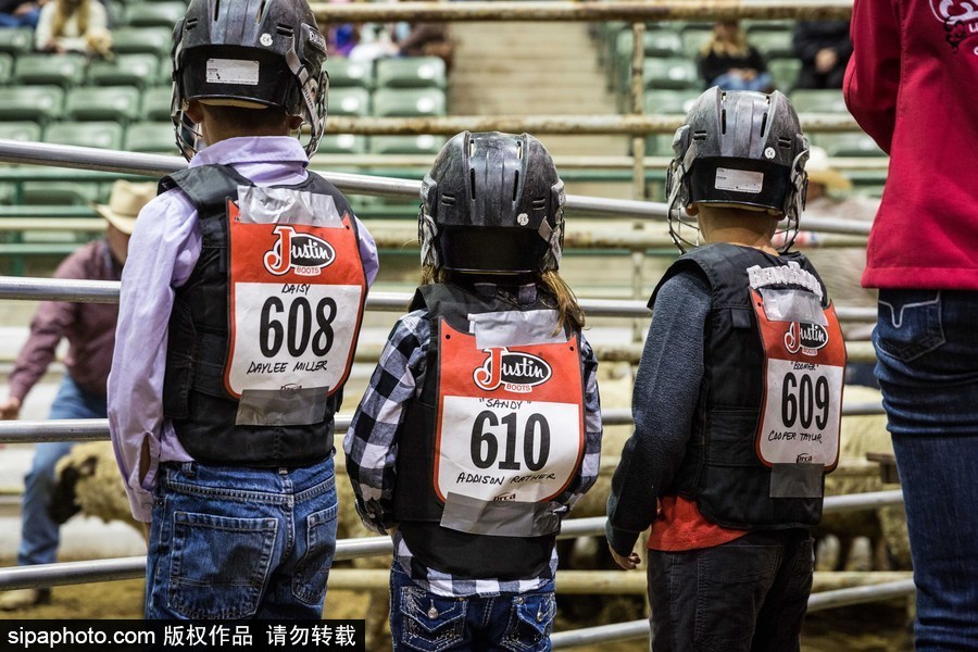 美國(guó)里諾舉行兒童騎羊大賽 萌娃上場(chǎng)有模有樣